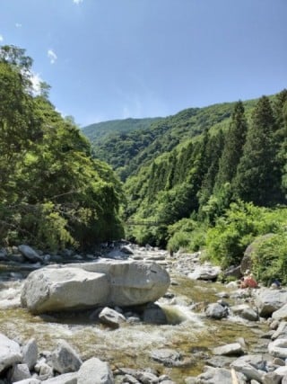 来ていた人に聞きました(^-^)