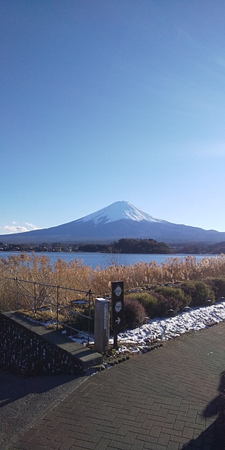 河口湖と富士山（大石公園）